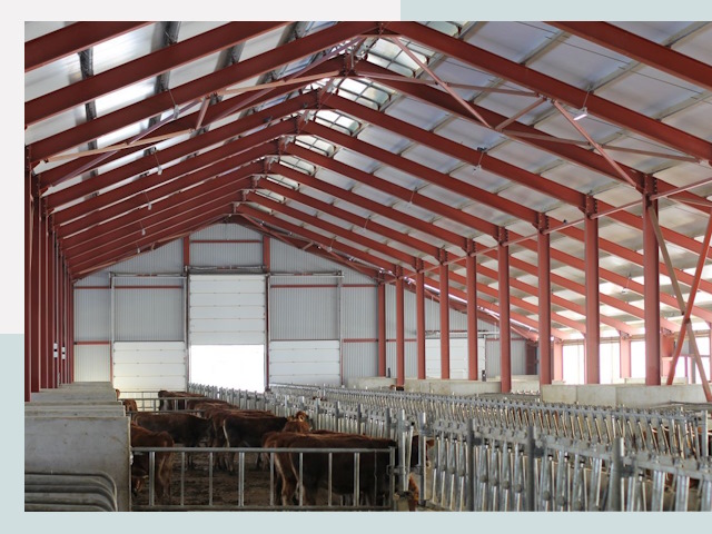 Строительство коровников в Дедовске