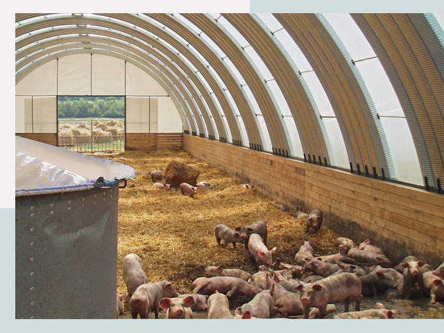 Строительство свинарников в Дедовске