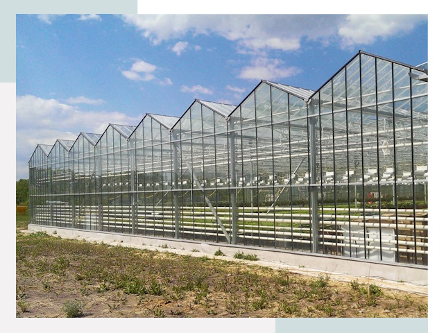 Строительство теплиц в Дедовск от 660 руб. за м²