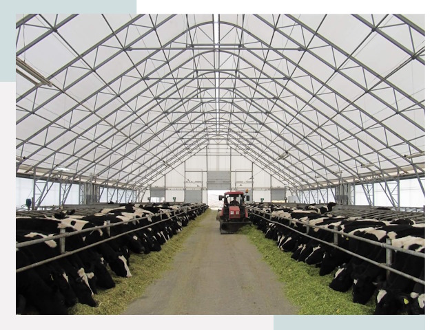 Тентовые коровники в Дедовске от 660 руб. - Надежно и доступно