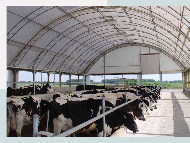Тентовые коровники в Дедовске